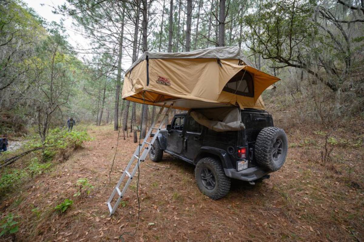 A black off-road vehicle with a rooftop tent set up in a pine forest, featuring a ladder for access and a serene outdoor setting.