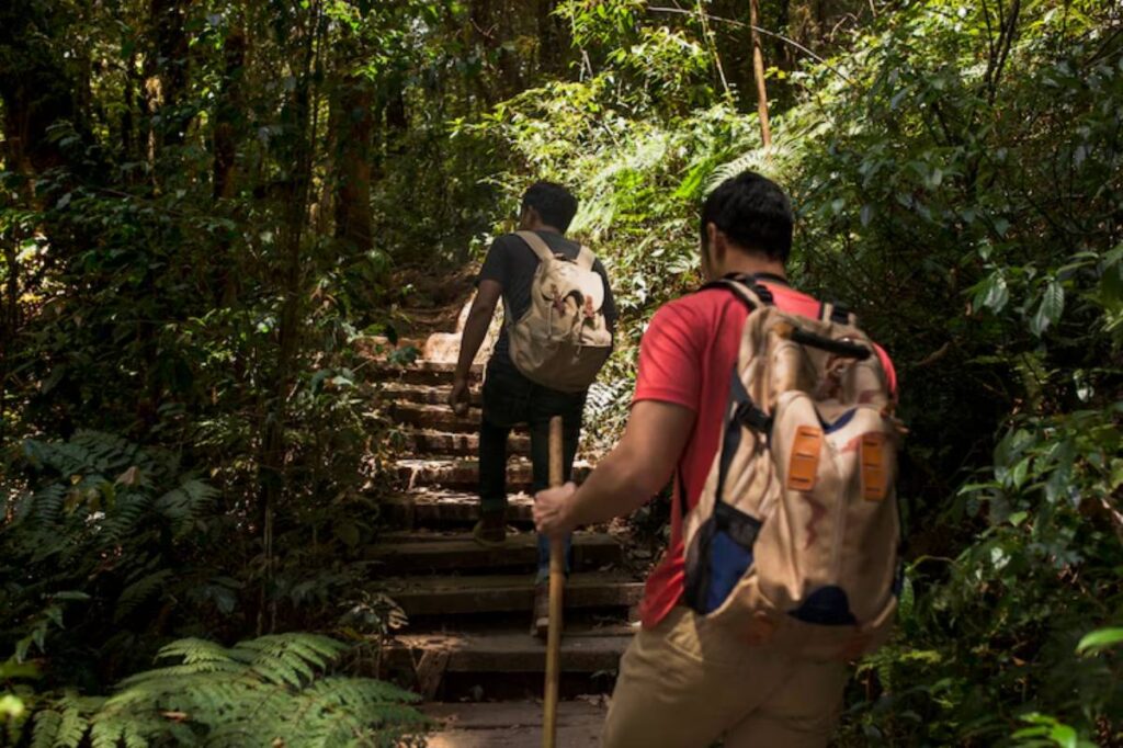 Two hikers ascend wooden steps through lush greenery, carrying backpacks and trekking poles in a vibrant forest setting.